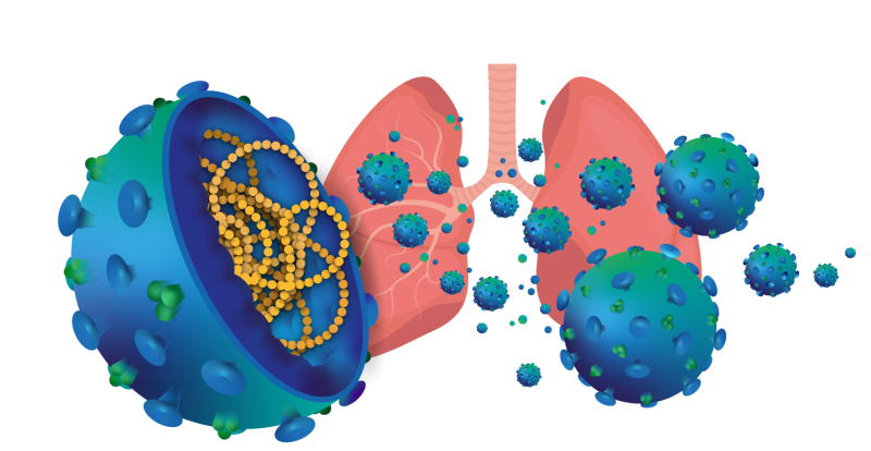 Influenza_Virus_Lunge