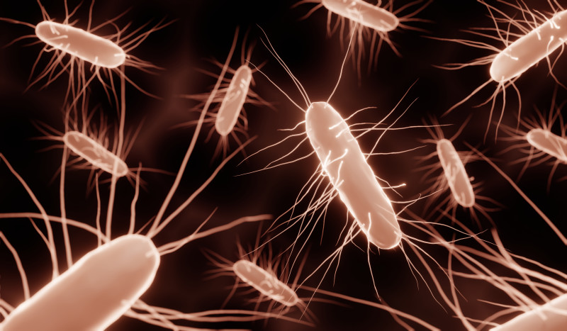 Listeria